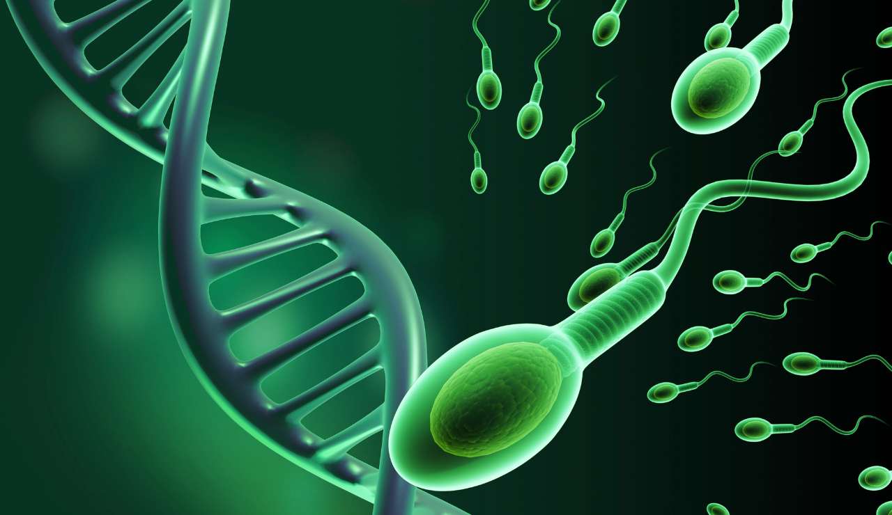 Eta del padre e rischio genetico per il feto